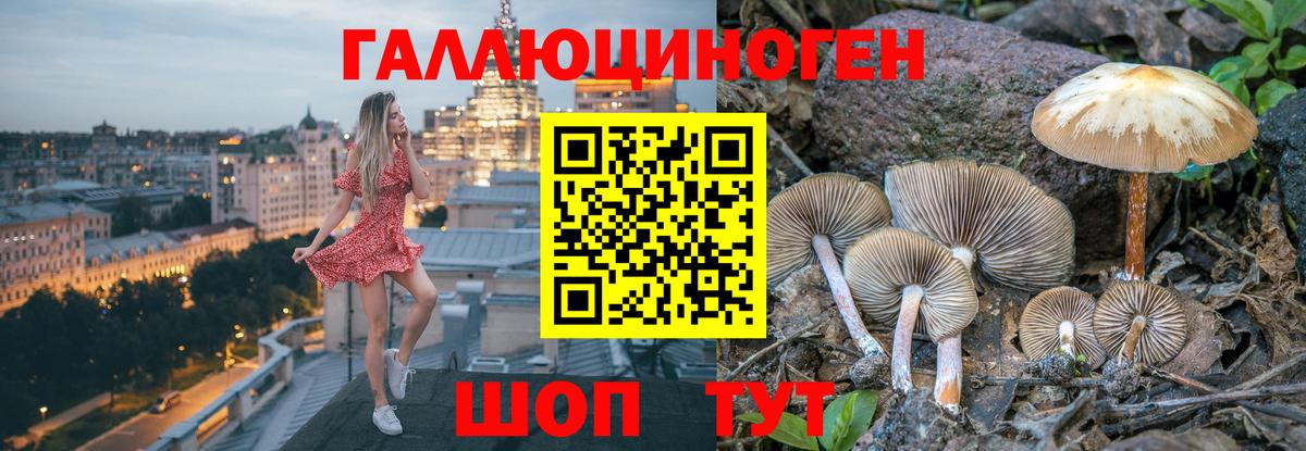 Орехово-Зуево  Галлюциногенные грибы Cubensis  Вход с VPN  Галлюциногенные грибы Psilocybe 