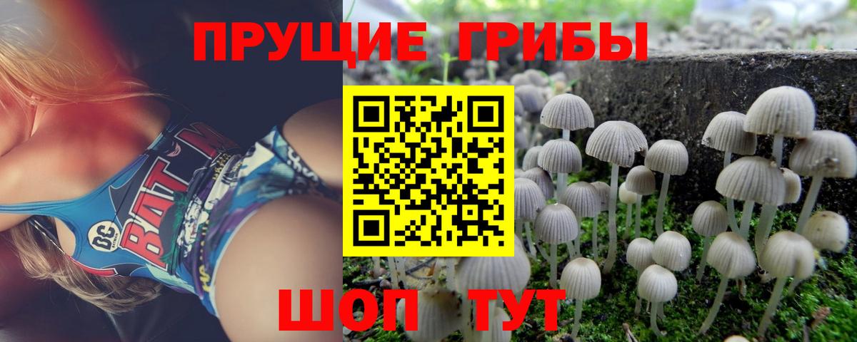 Псилоцибиновые грибы GOLDEN TEACHER Орехово-Зуево